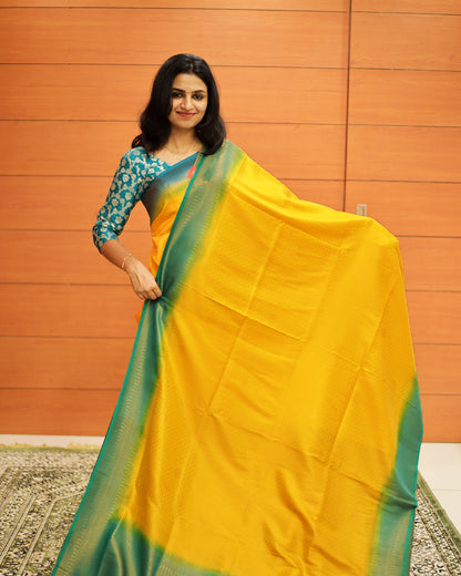 Georget Banarasi Saree - 1242