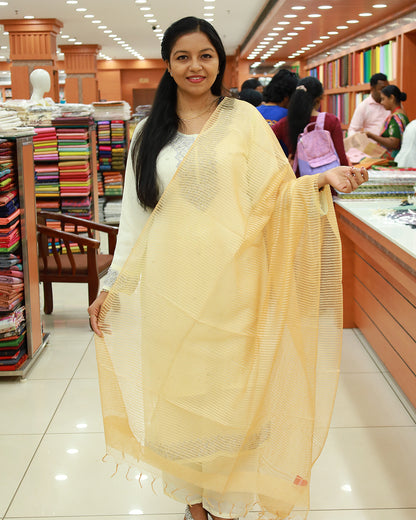 Women's Dupatta - 1210